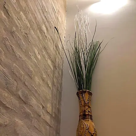 Bed & Breakfast Loft Edel 3*